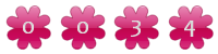 contador de visitas html